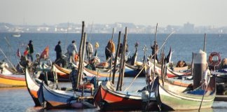 Comissão Europeia quer os Estados-Membros apoiem adequadamente os pescadores artesanais Comissão Europeia quer os Estados-Membros apoiem adequadamente os pescadores artesanais