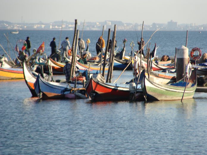 Comissão Europeia quer os Estados-Membros apoiem adequadamente os pescadores artesanais Comissão Europeia quer os Estados-Membros apoiem adequadamente os pescadores artesanais