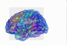Cérebro virtual ajuda a decifrar a epilepsia