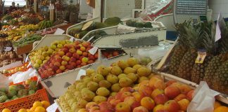 Importância da abóbora, uvas, cogumelos, nozes, legumes e chocolate na alimentação no outono Importância da abóbora, uvas, cogumelos, nozes, legumes e chocolate na alimentação no outono