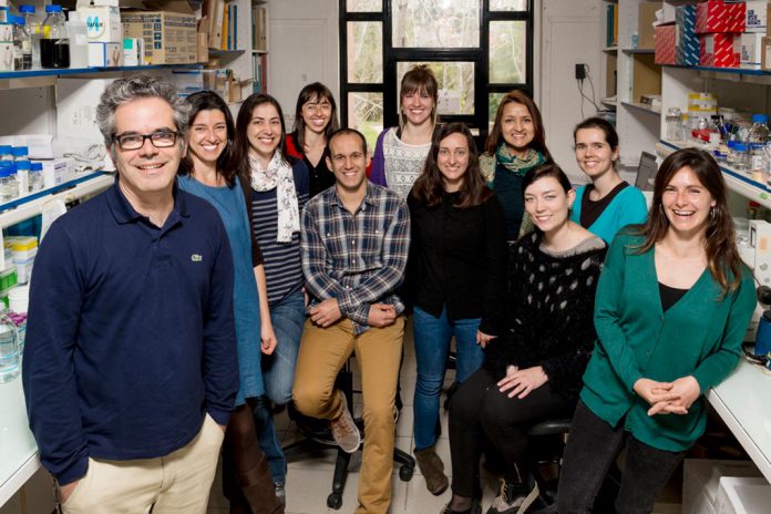 Fundação Gates financia cientistas do Instituto Gulbenkian de Ciência