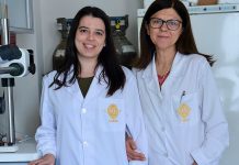 ‘Pâncreas bioartificial’ para tratar a Diabetes, Joana Crisóstomo e Raquel Seiça