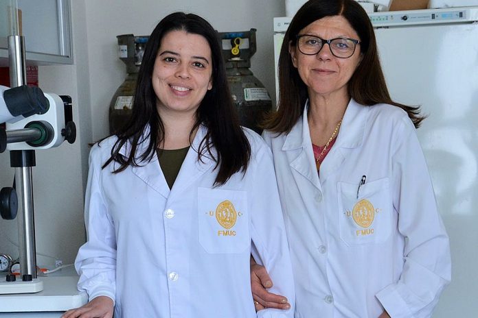 ‘Pâncreas bioartificial’ para tratar a Diabetes, Joana Crisóstomo e Raquel Seiça