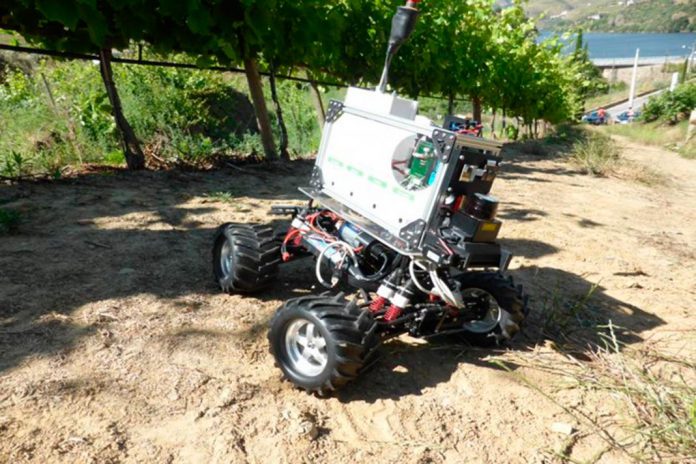 Robôs vão combater pragas e doenças agrícolas