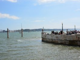 Comissão Europeia atribui 7,3M€ a três projetos portugueses em ambiente