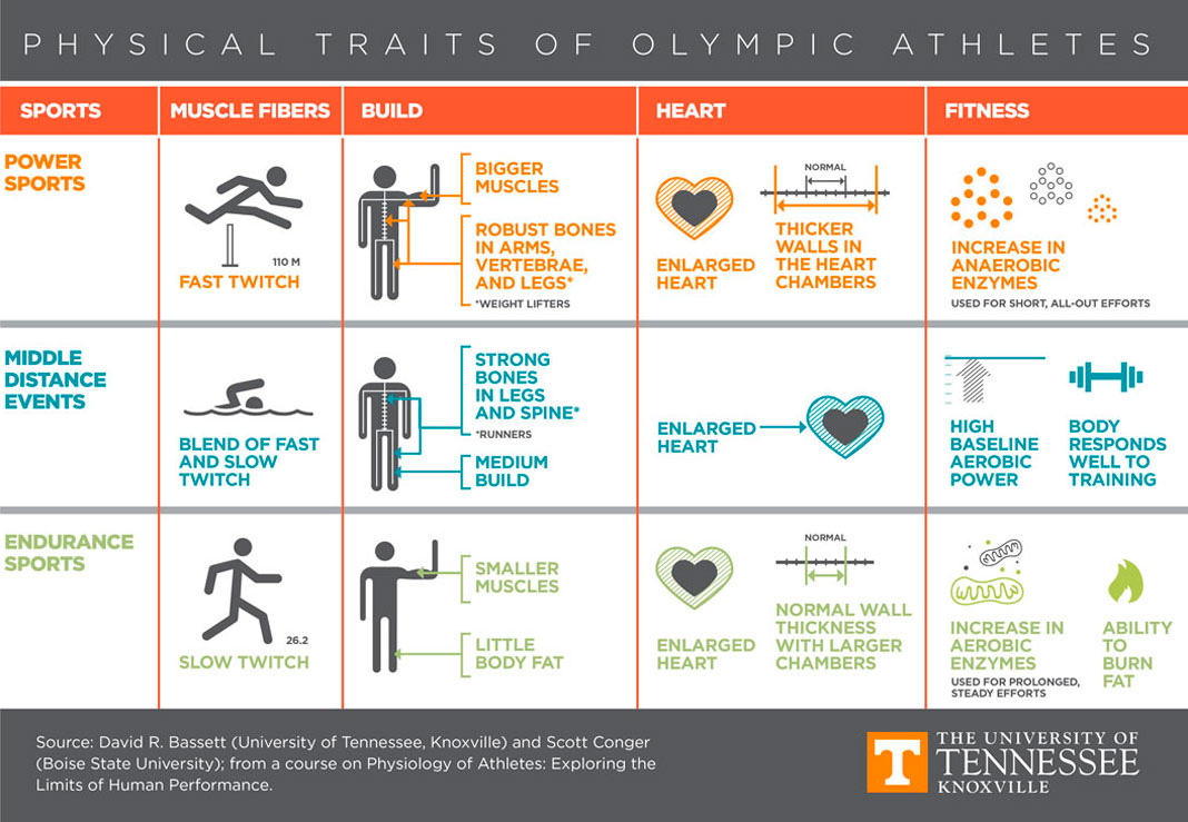 Herança genética e treino fazem atletas olímpicos