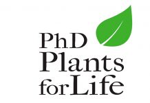 Há sete bolsas para doutoramento ‘Plants for Life’