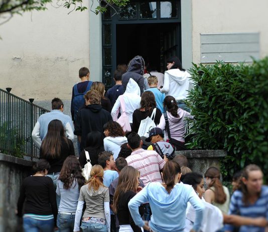 Os cinco cuidados a ter na preparação da entrada no novo ano escolar Os cinco cuidados a ter na preparação da entrada no novo ano escolar