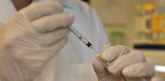 OMS alerta que o Mundo assiste a um surto de cólera