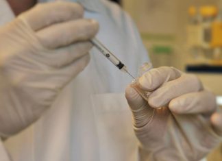 Vacina experimental para cancro do pâncreas mostra em ensaio clínico que gera resposta imune a gene com mutações Vacina experimental para cancro do pâncreas mostra em ensaio clínico que gera resposta imune a gene com mutações