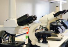 Comissão Europeia disponibiliza 96,6 milhões de euros para programas de doutoramento e pós-doutoramento Comissão Europeia disponibiliza 96,6 milhões de euros para programas de doutoramento e pós-doutoramento