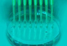 Eurodeputados pretendem que Lei de Biotecnologia da UE atraia investimentos para melhorar a saúde