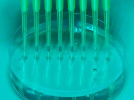 Eurodeputados pretendem que Lei de Biotecnologia da UE atraia investimentos para melhorar a saúde