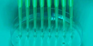 Eurodeputados pretendem que Lei de Biotecnologia da UE atraia investimentos para melhorar a saúde