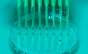 Eurodeputados pretendem que Lei de Biotecnologia da UE atraia investimentos para melhorar a saúde