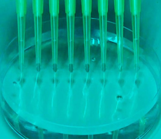 Eurodeputados pretendem que Lei de Biotecnologia da UE atraia investimentos para melhorar a saúde