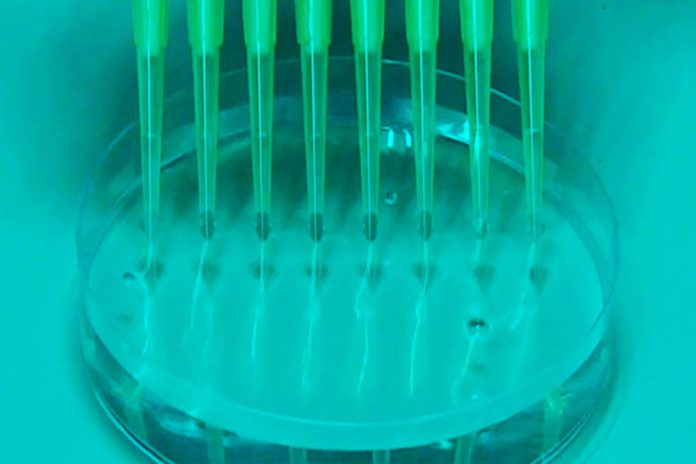 Eurodeputados pretendem que Lei de Biotecnologia da UE atraia investimentos para melhorar a saúde