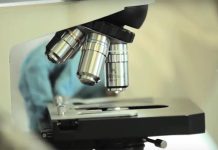 Investigadores da NOVA Medical School ganham bolsa Ana Lázaro com projeto sobre cancro cerebral pediátrico Investigadores da NOVA Medical School ganham bolsa Ana Lázaro com projeto sobre cancro cerebral pediátrico
