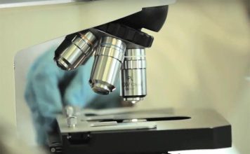 Investigadores da NOVA Medical School ganham bolsa Ana Lázaro com projeto sobre cancro cerebral pediátrico Investigadores da NOVA Medical School ganham bolsa Ana Lázaro com projeto sobre cancro cerebral pediátrico