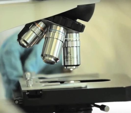 Investigadores da NOVA Medical School ganham bolsa Ana Lázaro com projeto sobre cancro cerebral pediátrico Investigadores da NOVA Medical School ganham bolsa Ana Lázaro com projeto sobre cancro cerebral pediátrico