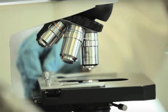 Investigadores da NOVA Medical School ganham bolsa Ana Lázaro com projeto sobre cancro cerebral pediátrico Investigadores da NOVA Medical School ganham bolsa Ana Lázaro com projeto sobre cancro cerebral pediátrico