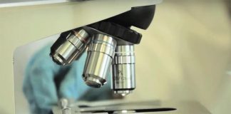 Cancro do Pulmão em não fumador pode vir de rearranjo genético precoce