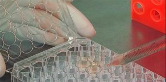 Nova combinação de medicamentos mostra ser mais eficaz no tratamento do cancro da próstata avançado Nova combinação de medicamentos mostra ser mais eficaz no tratamento do cancro da próstata avançado