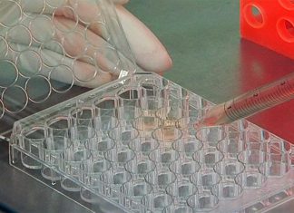 Nova combinação de medicamentos mostra ser mais eficaz no tratamento do cancro da próstata avançado Nova combinação de medicamentos mostra ser mais eficaz no tratamento do cancro da próstata avançado