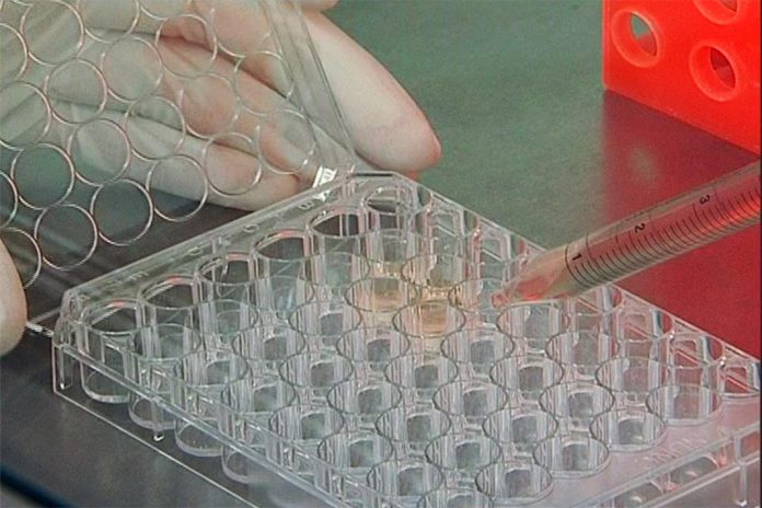 Nova combinação de medicamentos mostra ser mais eficaz no tratamento do cancro da próstata avançado Nova combinação de medicamentos mostra ser mais eficaz no tratamento do cancro da próstata avançado