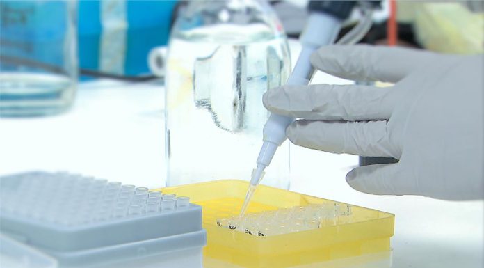 África com lacunas em testes continua a sofrer de Surto de mpox