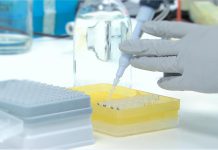 Compreender para vencer o cancro cerebral