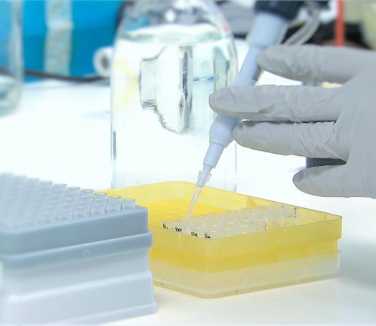 Compreender para vencer o cancro cerebral