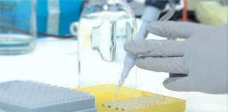 Teste de urina é melhor que ressonância magnética para monitorar cancro da próstata de baixo risco Teste à urina é melhor que ressonância magnética para monitorar cancro da próstata de baixo risco