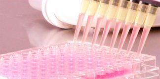 Nova tecnologia melhora diagnóstico e tratamento do cancro do sangue