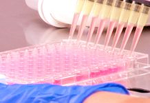 EUA aprovam terapias genéticas para a doença falciforme