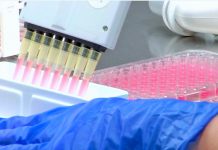 Testes a infetados com novo coronavírus podem dar falsos negativos