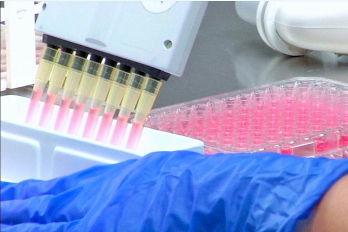 União Europeia mobiliza apoio de emergência para República Democrática do Congo em resposta a um surto de Ébola