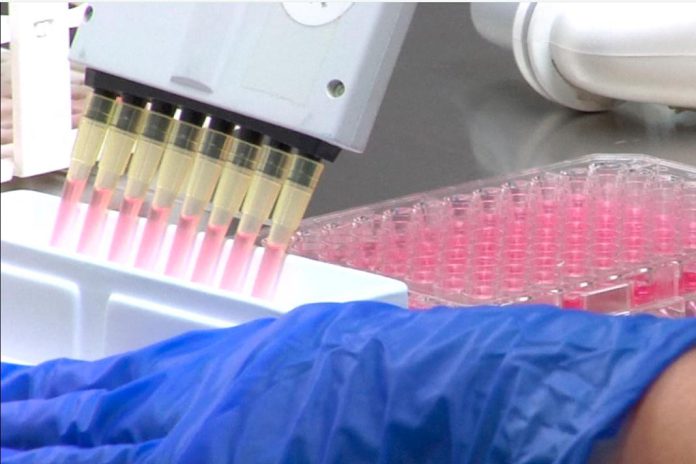 Abertas candidaturas para três Bolsas de doutoramento Nuno Grande no total de 75 mil euros para investigação em saúde