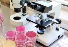 Bolsas Consolidator de 728 milhões de euros atribuídas a 349 investigadores Bolsas Consolidator de 728 milhões de euros atribuídas a 349 investigadores