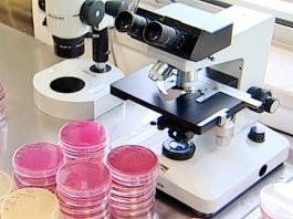 Bolsas Consolidator de 728 milhões de euros atribuídas a 349 investigadores