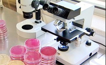 Bolsas Consolidator de 728 milhões de euros atribuídas a 349 investigadores Bolsas Consolidator de 728 milhões de euros atribuídas a 349 investigadores