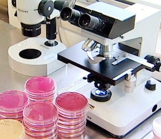 Bolsas Consolidator de 728 milhões de euros atribuídas a 349 investigadores