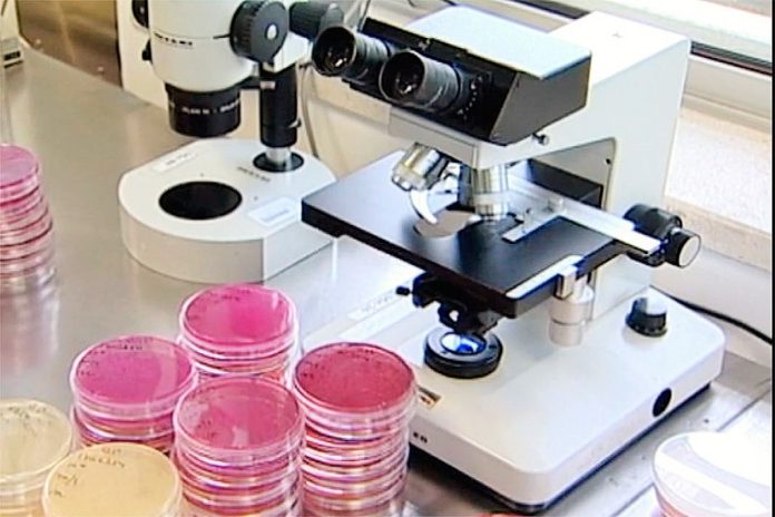 Bolsas Consolidator de 728 milhões de euros atribuídas a 349 investigadores Bolsas Consolidator de 728 milhões de euros atribuídas a 349 investigadores