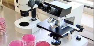 Cientistas alertam para a pandemia licenciosa da resistência antimicrobiana Cientistas alertam para a pandemia licenciosa da resistência antimicrobiana