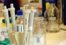 Moléculas produzidas por micróbios intestinais estão ligadas a risco de cancro do cólon