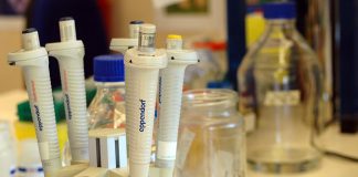 Moléculas produzidas por micróbios intestinais estão ligadas a risco de cancro do cólon Moléculas produzidas por micróbios intestinais estão ligadas a risco de cancro do cólon