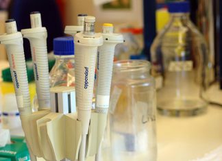 Moléculas produzidas por micróbios intestinais estão ligadas a risco de cancro do cólon