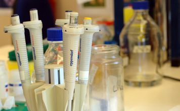 Moléculas produzidas por micróbios intestinais estão ligadas a risco de cancro do cólon