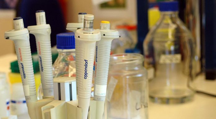 Moléculas produzidas por micróbios intestinais estão ligadas a risco de cancro do cólon