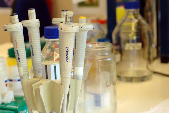 Composto anticancro que destrói células cancerígenas de leucemia infantil